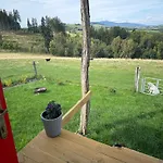 Maringotka Kvetuska Na Farme