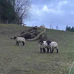 Кемпинг Maringotka Kvetuska Na Farme *