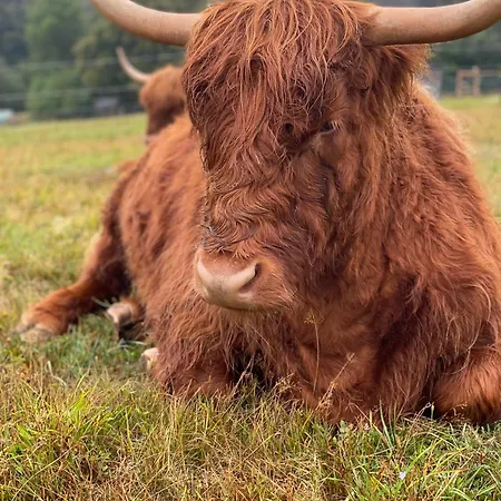 Maringotka Květuška Na Farmě Kemp Pulecny