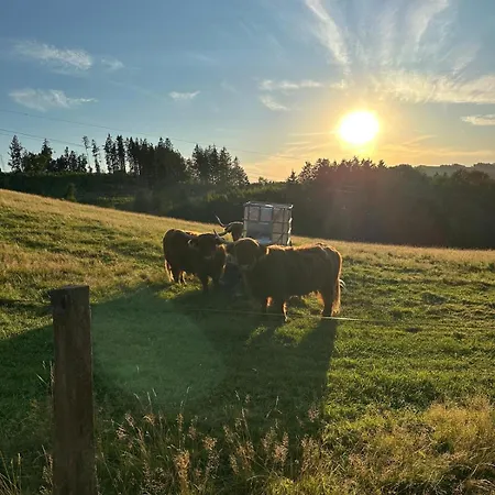 Kemping Maringotka Kvetuska Na Farme Pulecny