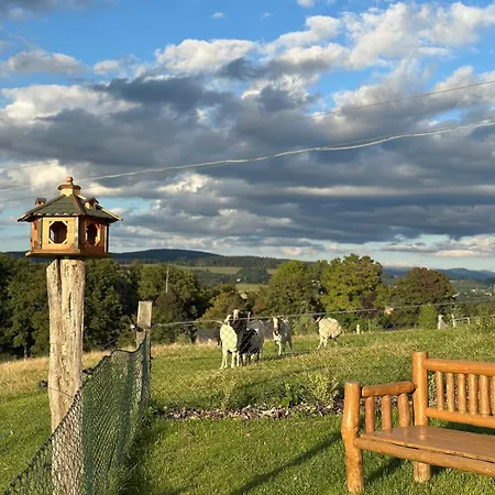 Maringotka Kvetuska Na Farme *