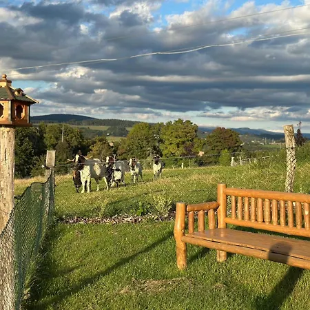 Maringotka Kvetuska Na Farme