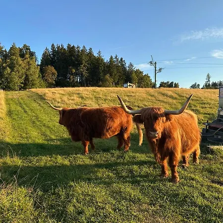 Maringotka Kvetuska Na Farme * Pulecny
