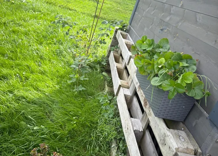Maringotka Kvetuska Na Farme