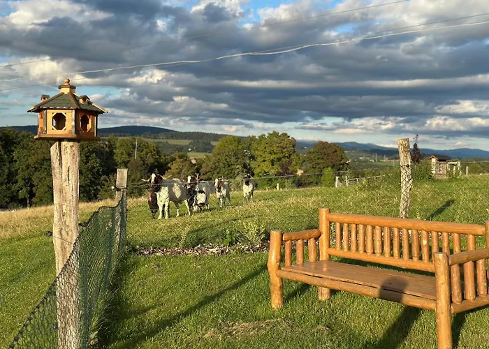 Maringotka Kvetuska Na Farme